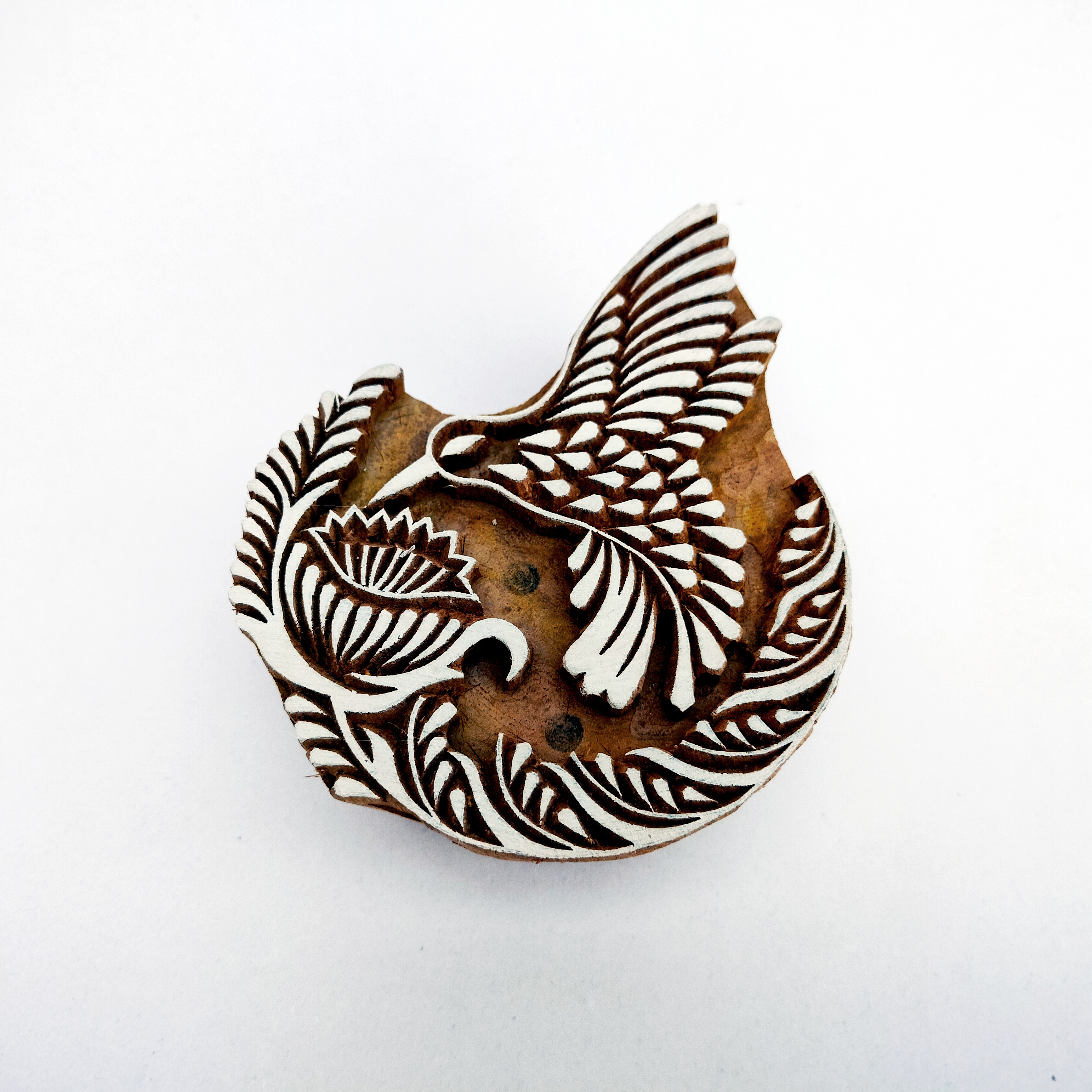 Animal & Bird